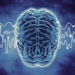 The Brain Song In 2026 : Activate Your Brainwaves For A Sharper, Healthier Mind brain song