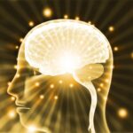 The Brain Song In 2026 : Activate Your Brainwaves For A Sharper, Healthier Mind Song 5 150x150